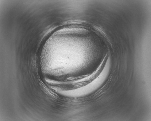 X0000058781404200510171241