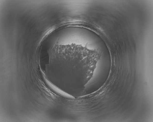 X0000058781405200510171241