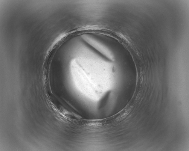 X0000058781406200510171241