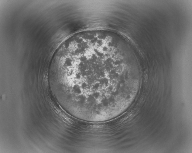 X0000058781409200510171241