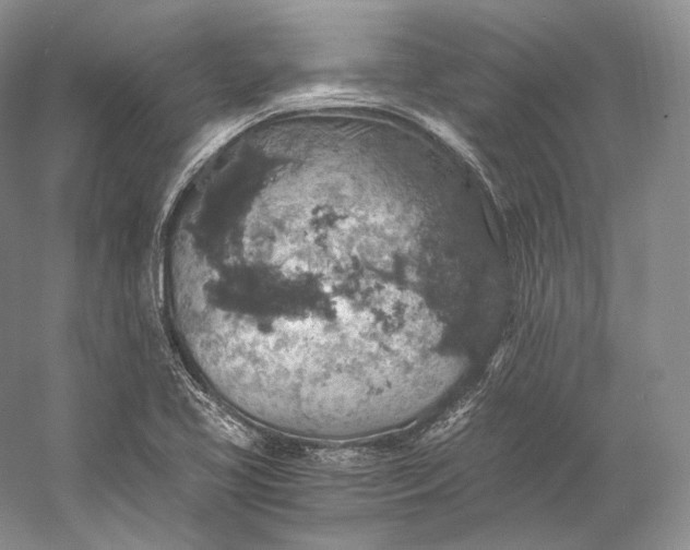 X0000058781413200510171241