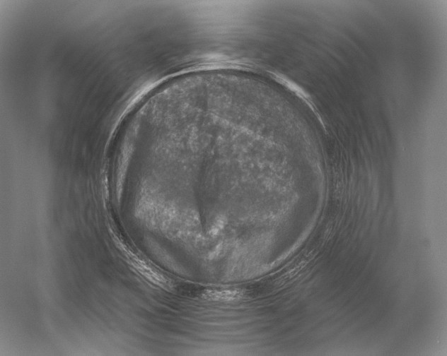 X0000058781415200510171241