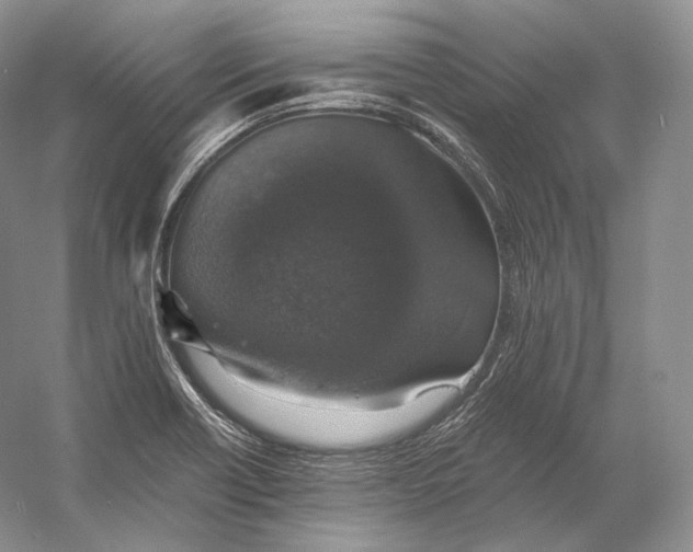 X0000058781418200510171241