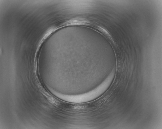 X0000058781419200510171241