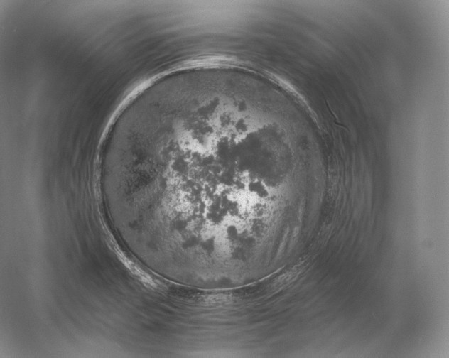 X0000058781421200510171241