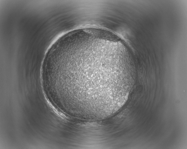 X0000058781422200510171241