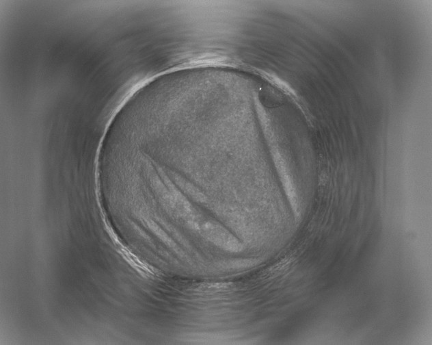 X0000058781423200510171241