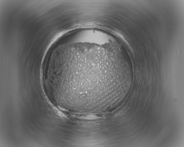 X0000058781424200510171241