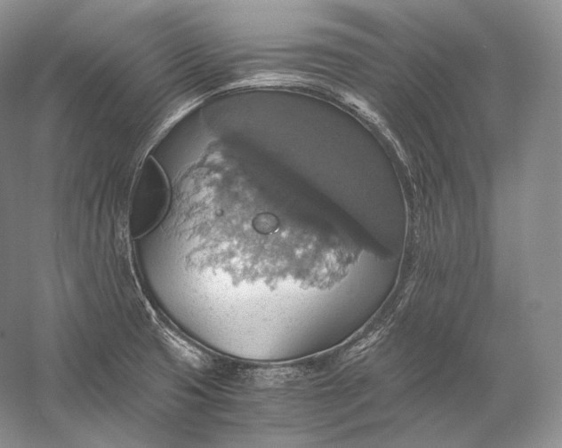 X0000058781425200510171241