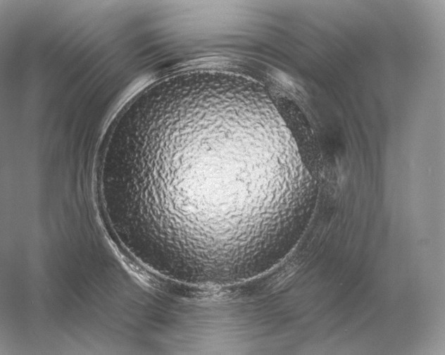 X0000058781426200510171241