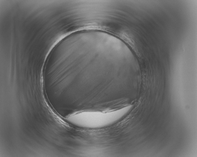 X0000058781428200510171241