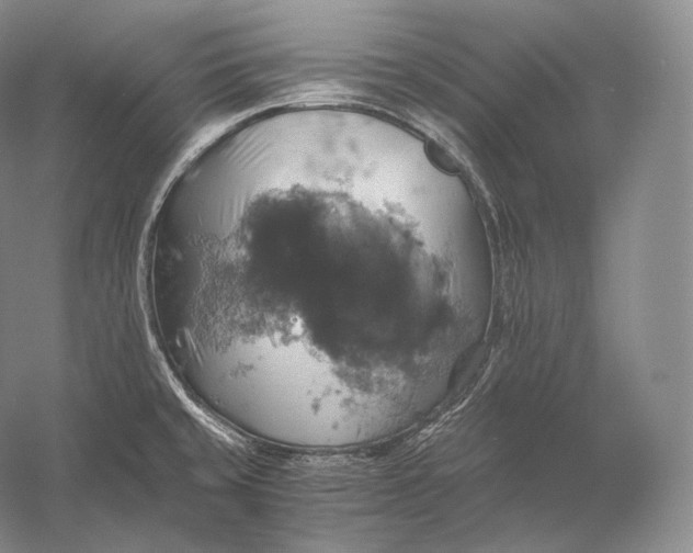 X0000058781429200510171241