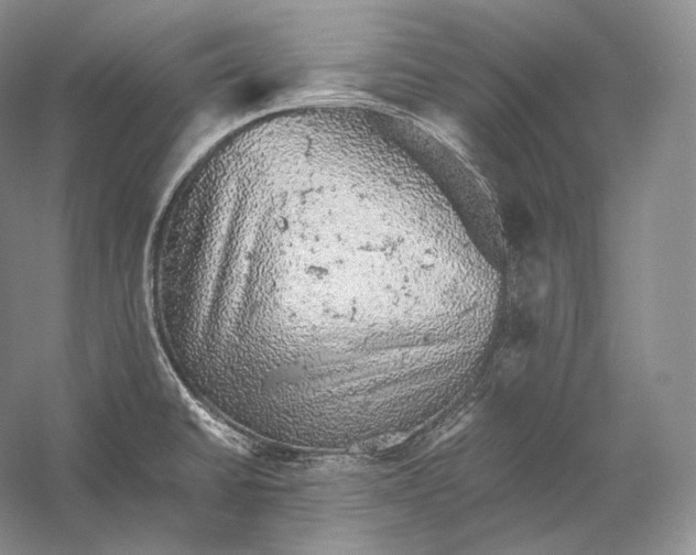 X0000058781430200510171241