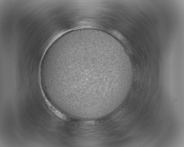 X0000058781431200510171241