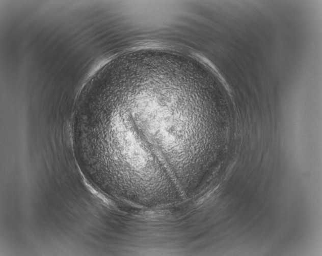 X0000058781433200510171241