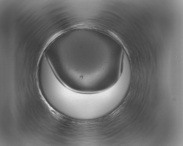 X0000058781434200510171241