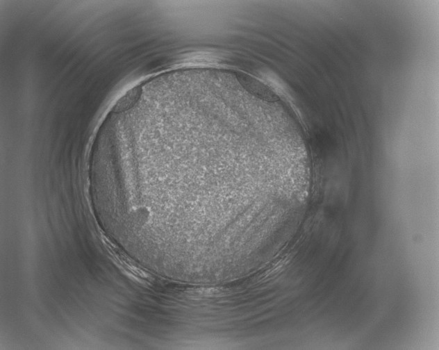 X0000058781435200510171241