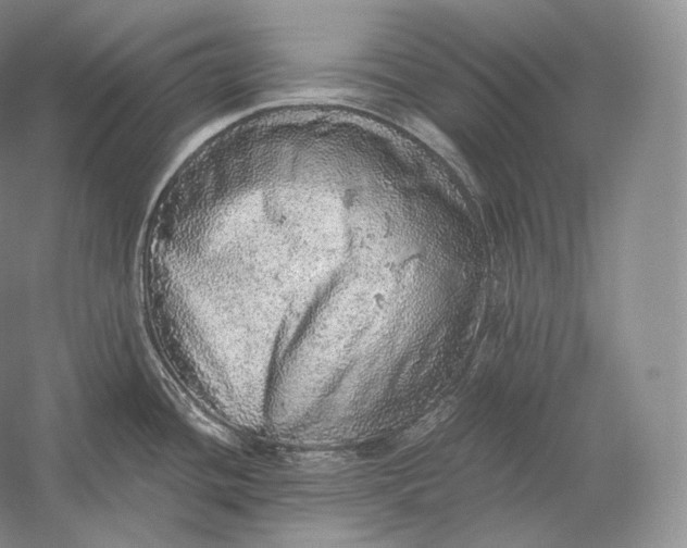 X0000058781436200510171241