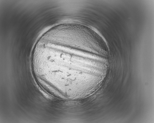 X0000058781437200510171241