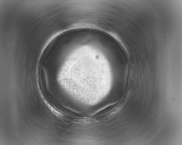 X0000058781438200510171241