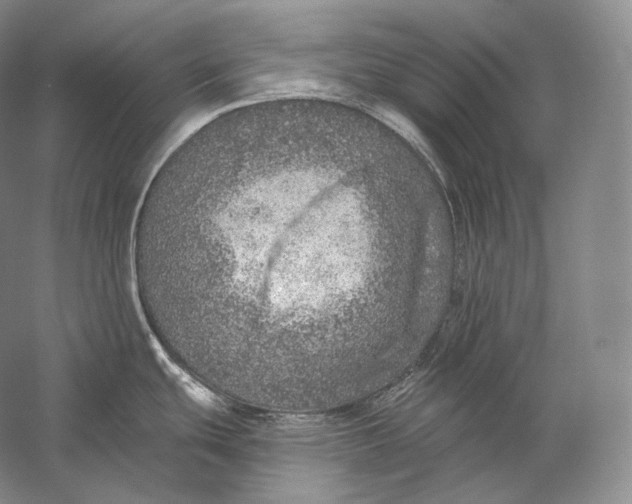 X0000058781439200510171241