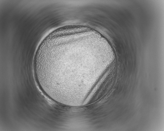 X0000058781440200510171241