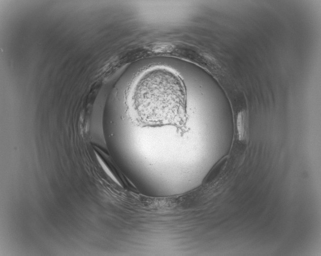 X0000058781443200510171240