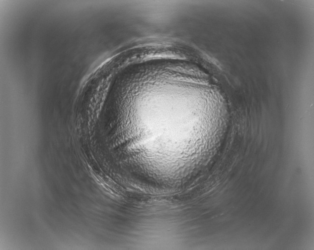 X0000058781448200510171240