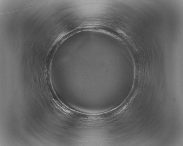 X0000058781449200510171240