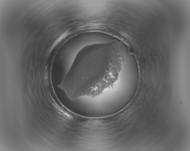 X0000058781450200510171240