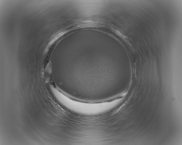 X0000058781453200510171240