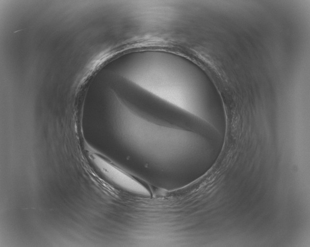 X0000058781455200510171240