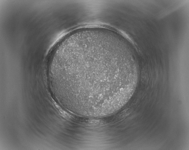 X0000058781456200510171240