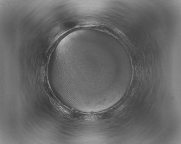 X0000058781457200510171240