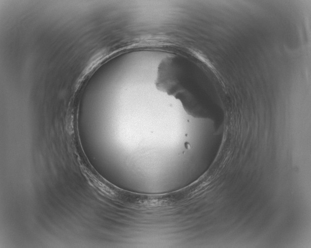 X0000058781459200510171240