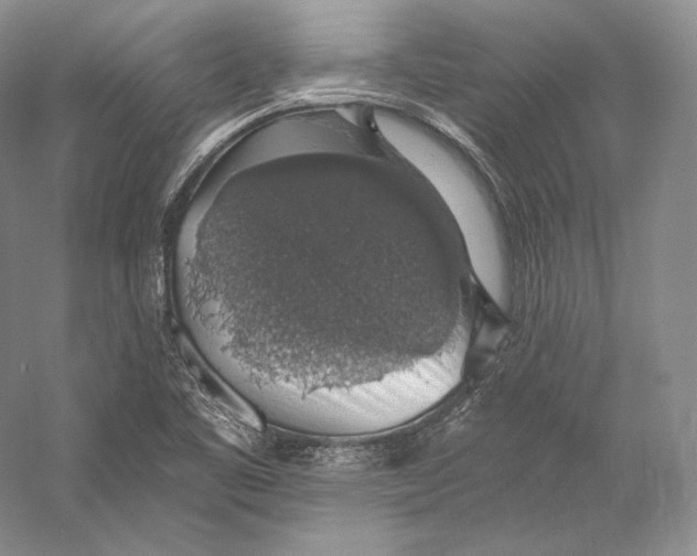 X0000058781461200510171240