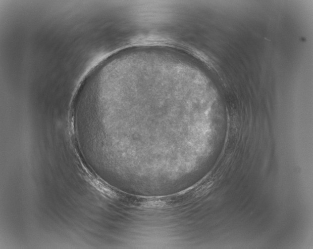 X0000058781462200510171240