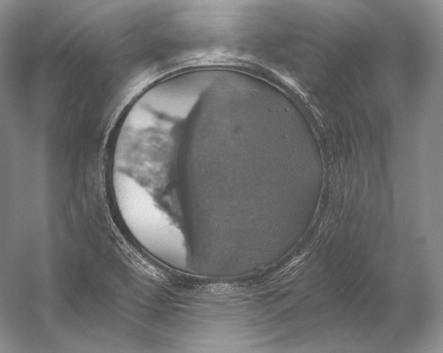 X0000058781463200510171240