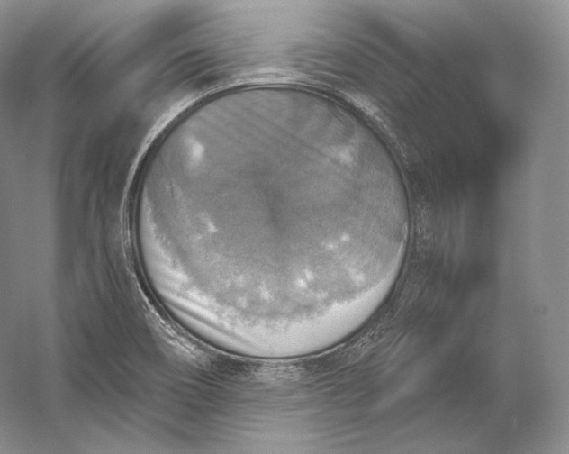 X0000058781466200510171240