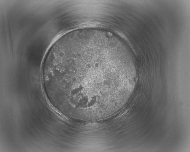 X0000058781467200510171240