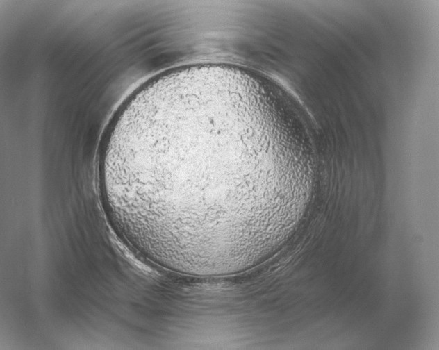 X0000058781468200510171240