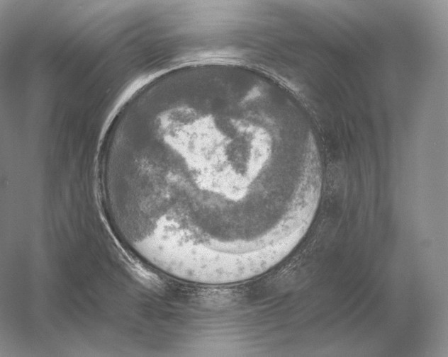 X0000058781470200510171240