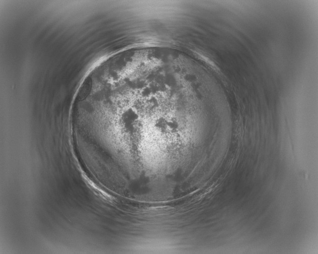 X0000058781471200510171240