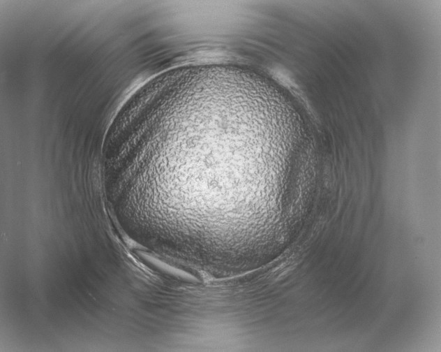 X0000058781473200510171240