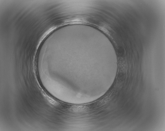 X0000058781474200510171240