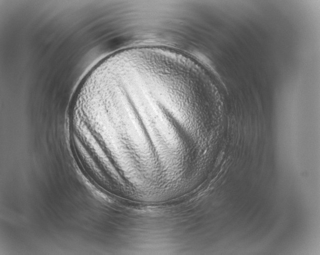 X0000058781476200510171240