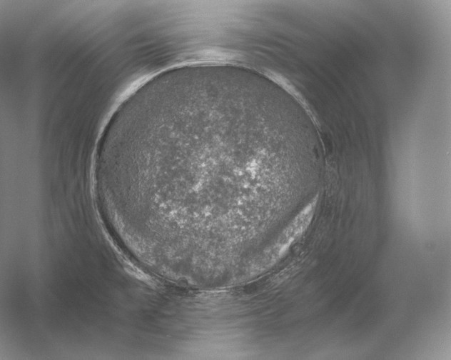 X0000058781477200510171240