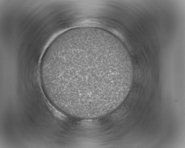 X0000058781478200510171240