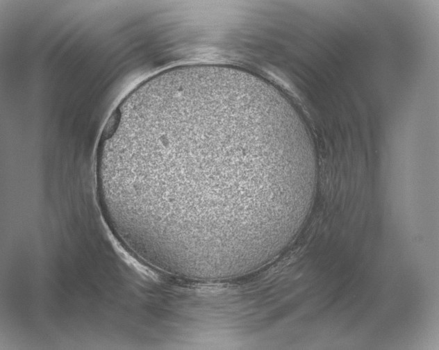 X0000058781479200510171240