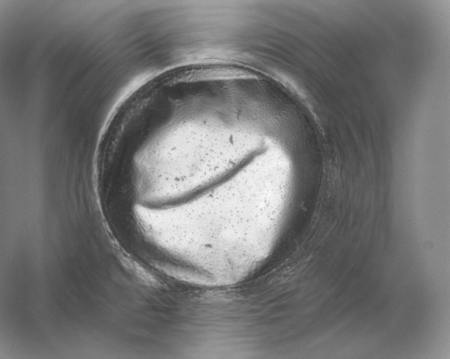 X0000058781480200510171240